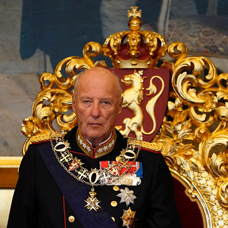 Gonagas rabai Stuoradikki